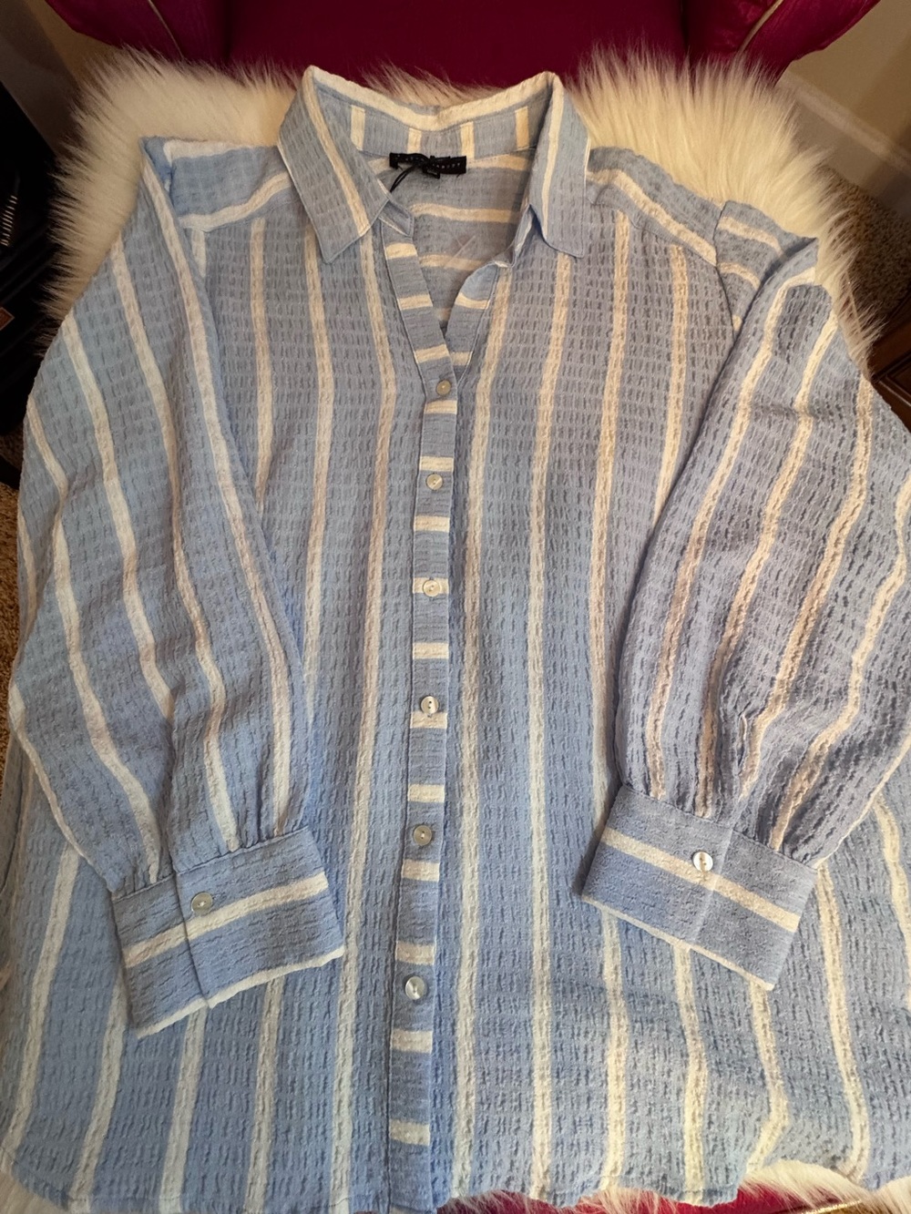 Women’s 2X light blue blouse new  Jane & Delancey